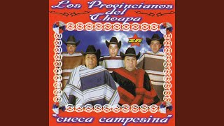 Video thumbnail of "Los Provincianos del Choapa - La Cueca del Feo"