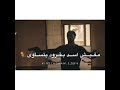 مر قساوه دايره عداوه مفيش اسد بقرود يتساوه مر قساوه دايره عداوه مفيش اسد بقرود يتساوه