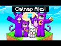 Catnap ales   minecraft