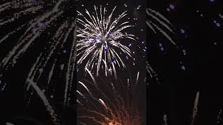 Artificii Fireworks #shorts
