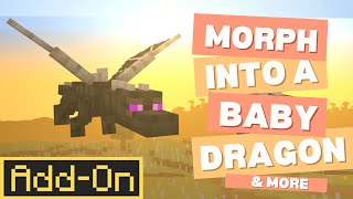 Morph Into A BABY DRAGON - Morph Add-on | Minecraft Marketplace In-Depth Look