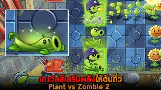 เถาวัลย์เสริมพลังให้ต้นถั่ว Plant vs Zombie 2