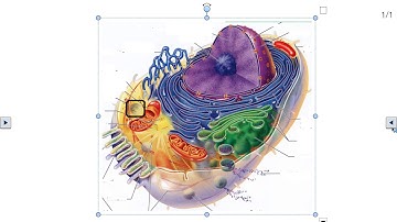 Easy Interactive Tools Software Demo