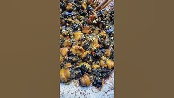 Ốc Xào Sả Ớt Món Dân Dã Ngon Mê Ly #nhacoyen #comaxin