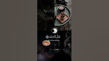 #قران_كريم_ #القارئ #عبدالرحمن_مسعد 🖤