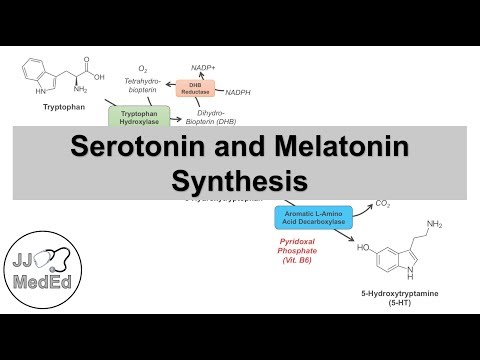 Video: Unterschied Zwischen Melatonin Und Serotonin