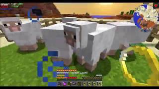 MCEternal Ep46 Rat Automation