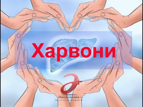 Харвони ("Harvoni") - все о препарате и его применении в терапии гепатита С.