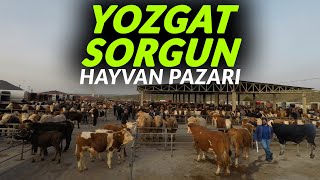 2024 Yılı Yozgat Sorgun Hayvan Pazarı | Kurbana Son 2 Ay