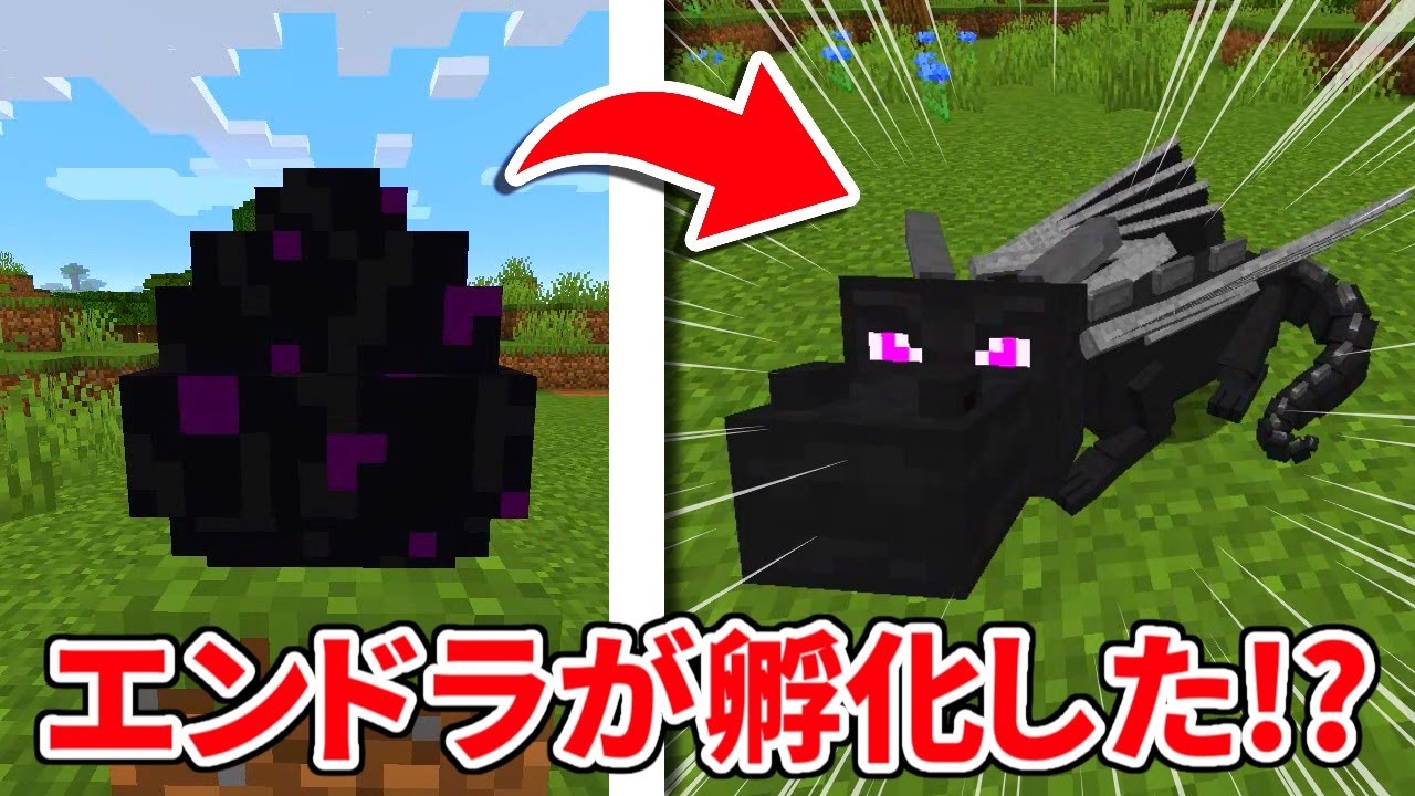 マイクラ ドラゴン の 卵 の 育て 方