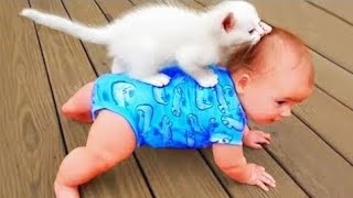 Funniest Cat Videos Ever 😹🐱 Funny Cats, Crazy Reactions & Hilarious Moments Compilation