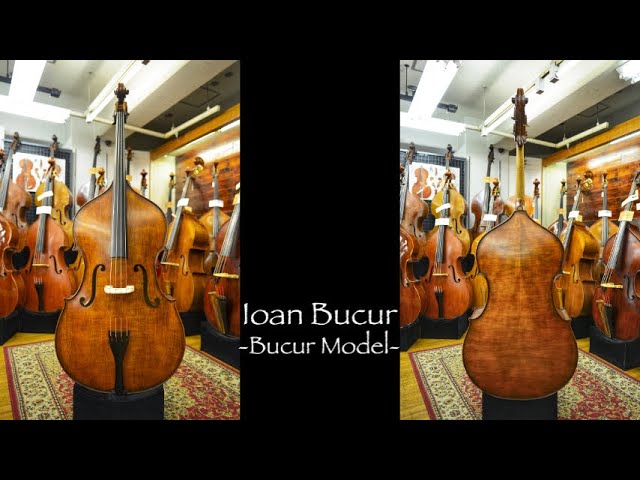 Ioan Bucur 