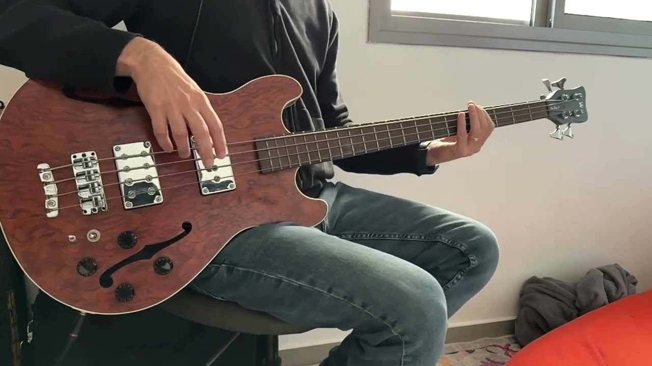 אריק איינשטיין (יצחק קלפטר) - מבלי להפריע - בס