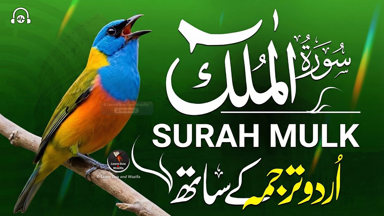 Surah Al-Mulk سورة الملك | Beautiful Relaxing Recitation for Peace, Protection #surahmulk