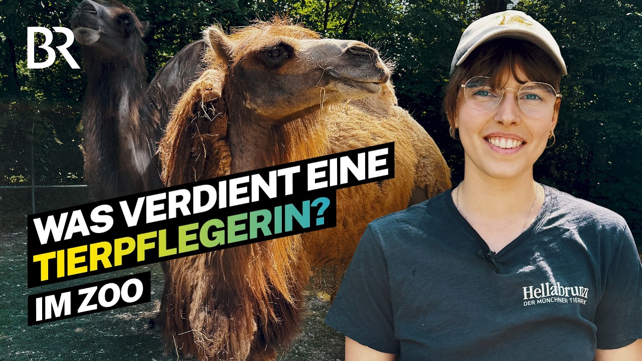 Job mit gefährlichen Tieren: So viel verdient eine Tierpflegerin im Zoo | Lohnt sich das? | BR