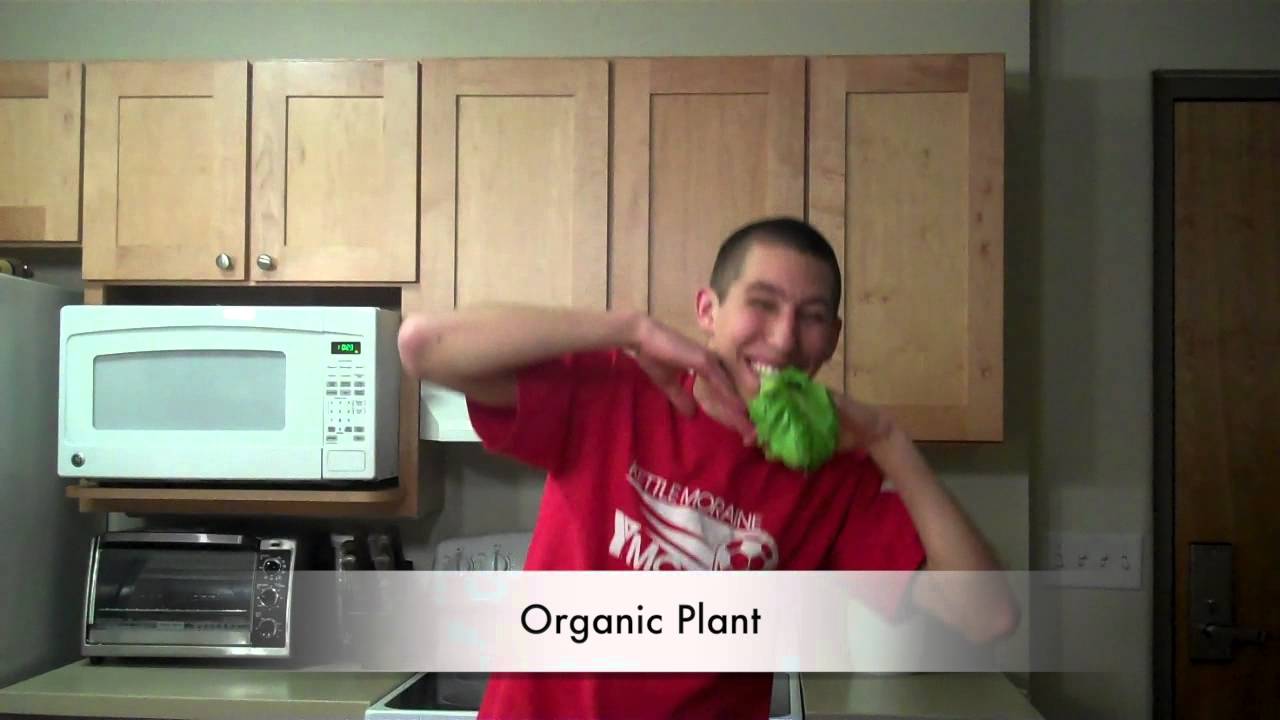 Organic Foods Vs. Conventional Foods