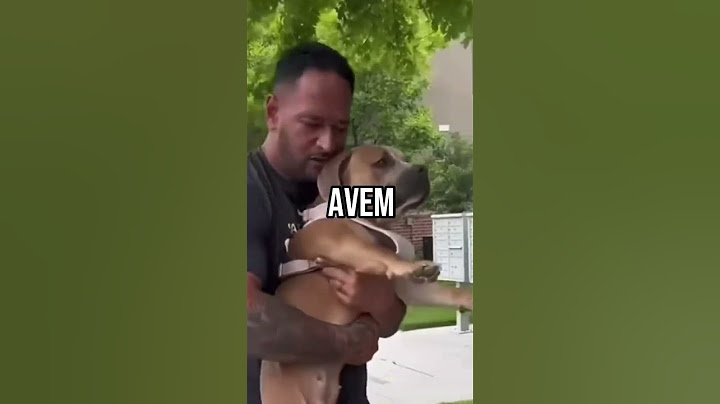 El A Salvat Acest Caine Si I-A Oferit Un An GROZAV ❤️