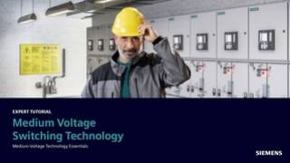 Medium Voltage Switching Technology