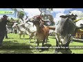 Últimas noticias de Bolivia: Bolivia News - 13 de abril  2016