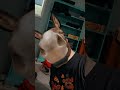 still interested in making good content