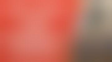 Burst Trigger Group Disassembly and Reassembly | HK Parts