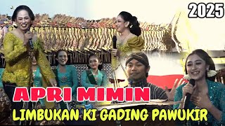 APRI MIMIN DAN KI GADING LUCU POL POLAN