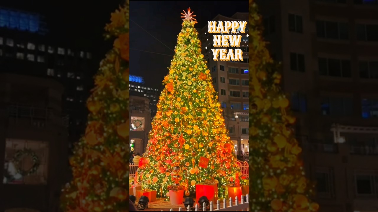 Wonderful Christmas tree & Ice skating(USA)