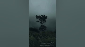 سورة المرسلات كاملة 🎧🥀 l أحمد جمال محجوب