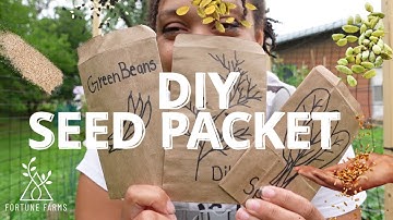 🌱 DIY Seed Packet: How to Make Your Own Eco-Friendly Seed Envelope at Home! 🌱