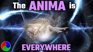 The Anima at the QUANTUM level? | Bio-Psycho-Social Model