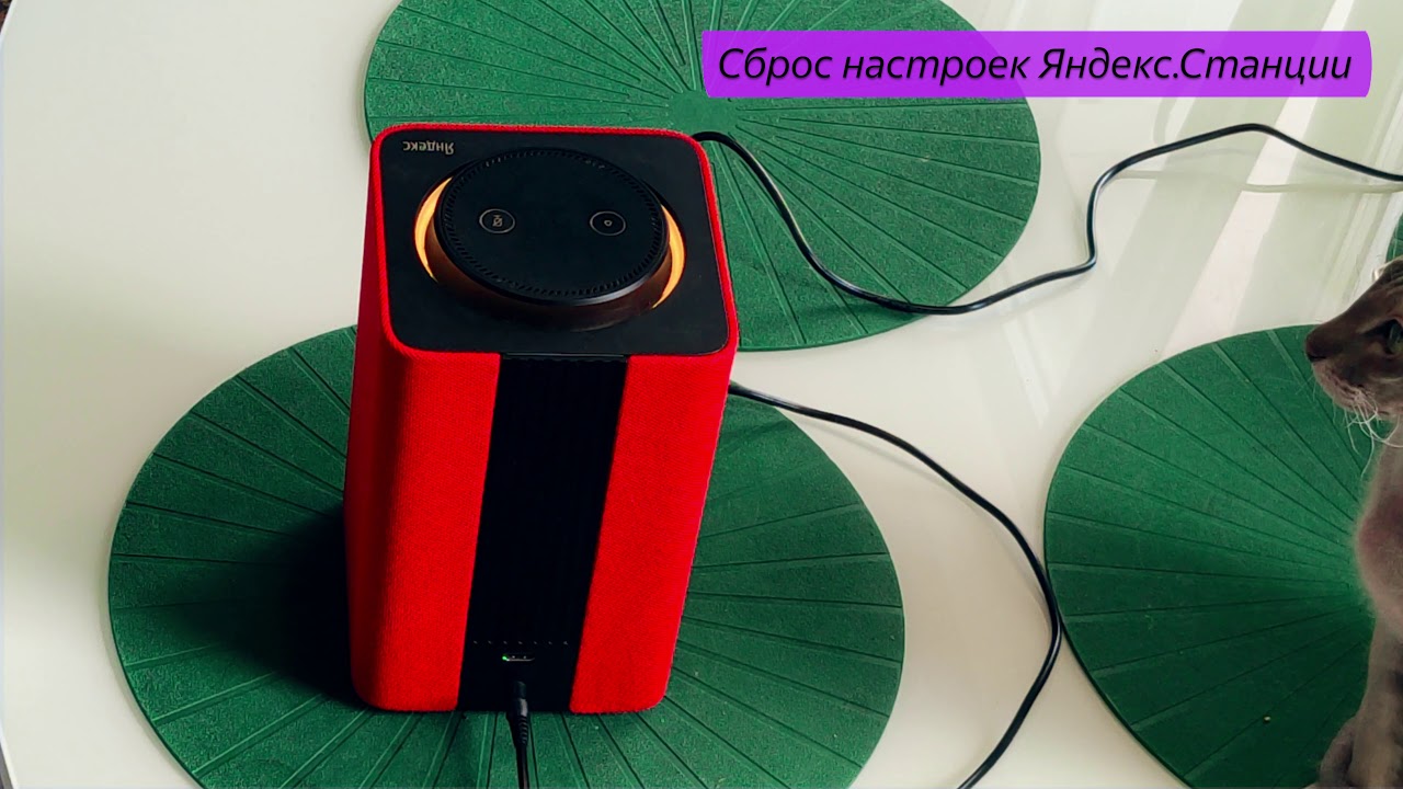 Проблемы с повторным подключением? Вот как починить колонку Alice