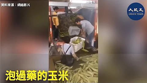 泡过药的玉米 | #香港大纪元新唐人联合新闻频道 - 天天要闻