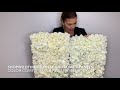 Premium Rose and Hydrangea Flower Wall Backdrops Color Comparison Between &quot;Ivory&quot; &amp; Off-White&quot;