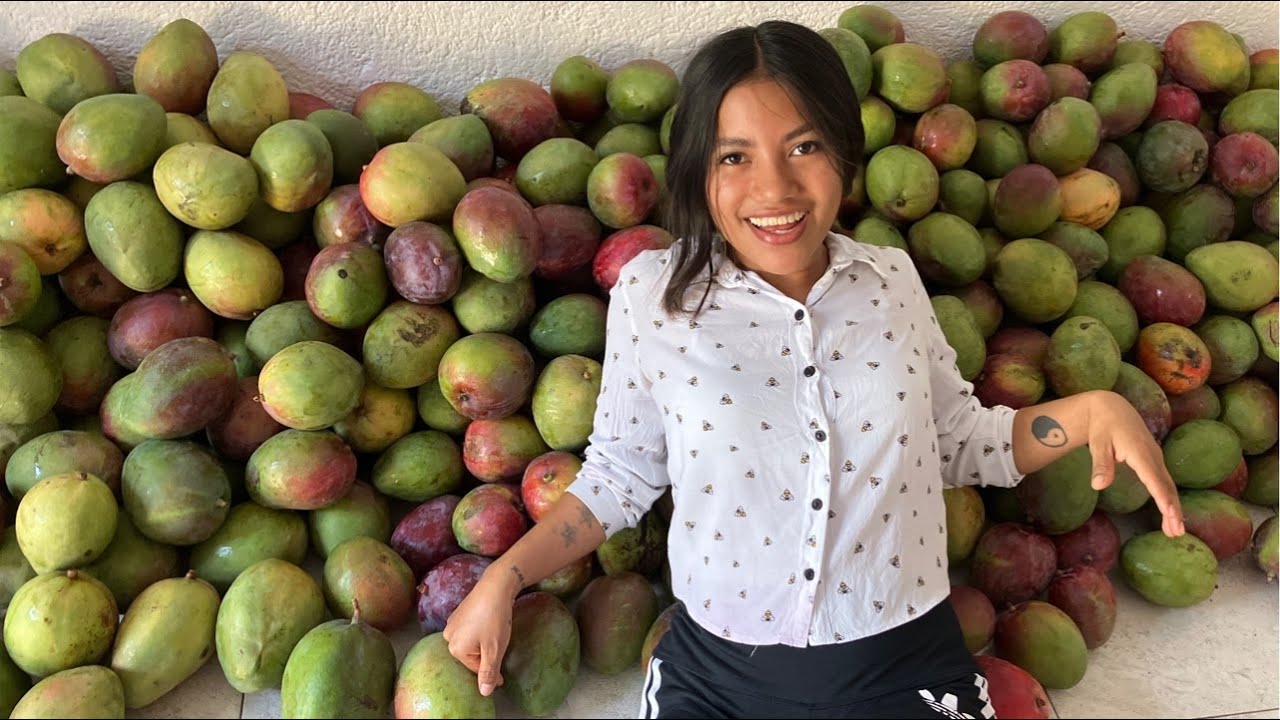 Tipos de Mango en Chiapas 🇲🇽🥭 - YouTube
