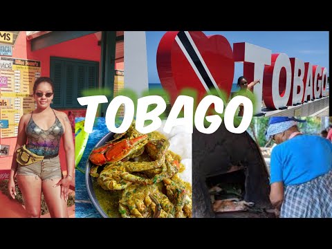 Vidéo: Les meilleures choses à faire à Tobago
