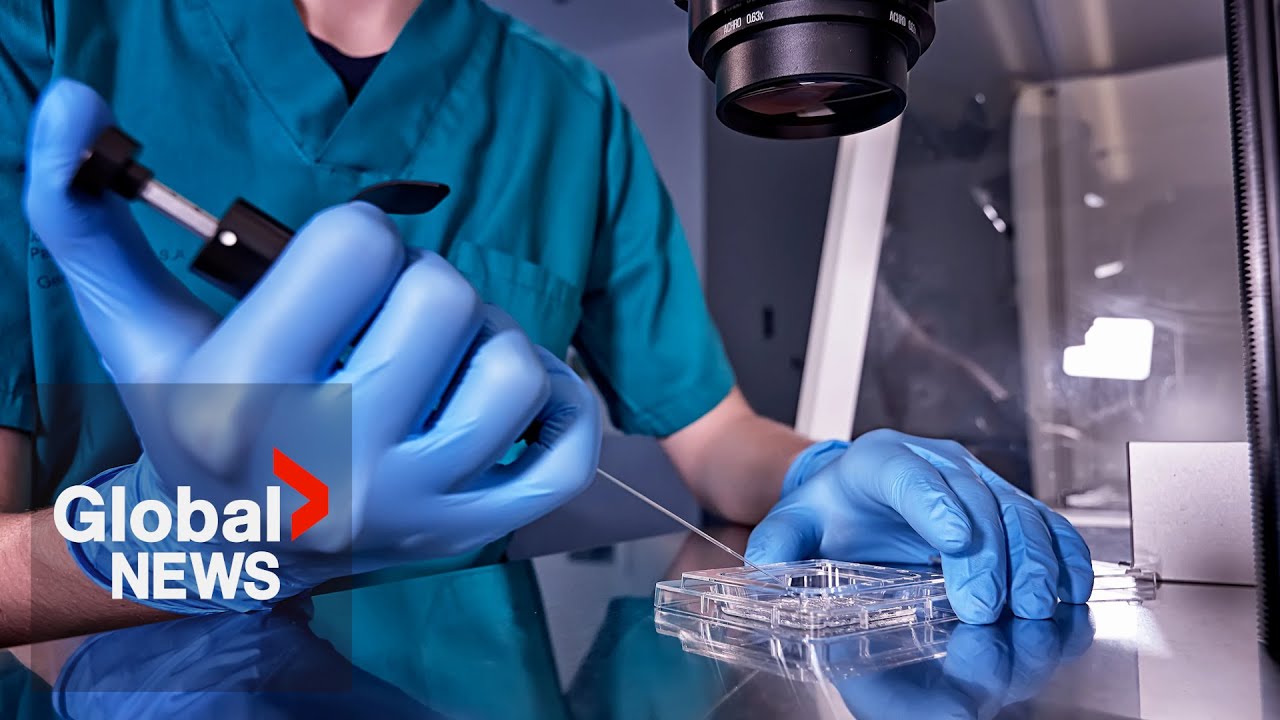 More IVF Babies Born From Egg Collection In Summer Study YouTube more-ivf-babies-born-from-egg-collection-in-summer-study-youtube