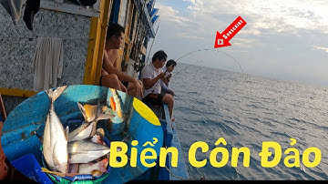 Câu cá biển Côn Đảo phần 1 ! Trường Giang Fishing