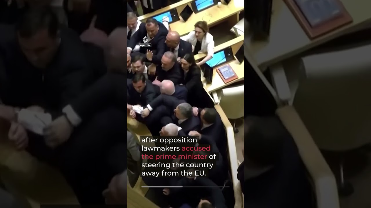Fistfight erupts in Georgia's parliament during PM's address | AJ #shorts