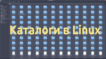 Каталоги в операционной системе Linux