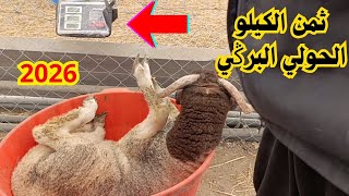 واخيرااا 🔊ثمن خروف العيد عند مرجان 🐏ثمن الكيلو البرݣي و الصردي 🚨 اجي تشوف العبار في الميزان #marjane