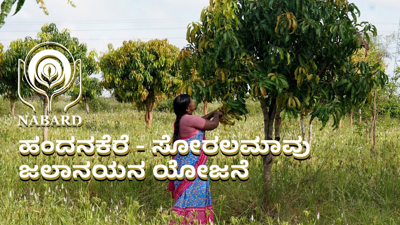ನಬಾರ್ಡ್-ಹಂದನಕೆರೆ - ಸೋರಲಮಾವು ಜಲಾನಯನ ಯೋಜನೆ |#nabard  #watershed #ruraldevelopment #nature #village
