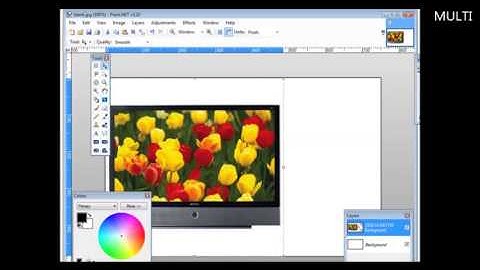 How to create a Paypal custom payment page