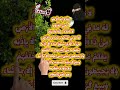 ayatul qursi daily #egzonibrahimi #beautifulquranrecitation #quran #ytshorts #shorts