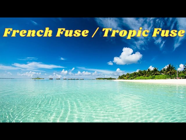 Tropic Fuse | French Fuse class=