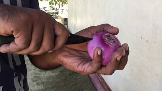 Make Onion Lotus
