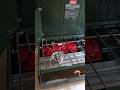 Mint Condition Coleman PowerHouse 413H 2 Burner Camping Stove #Camping #Coleman #Outdoors #Cooking