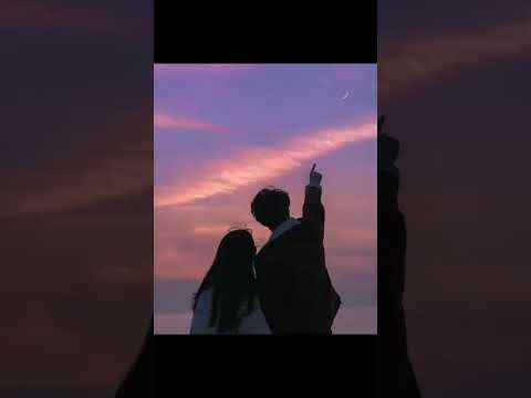اسيبك لا مقدرش اسيبك