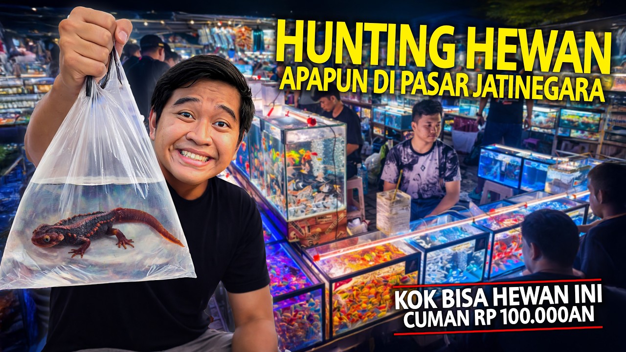 HUNTING HEWAN APAPUN DI PASAR IKAN JATINEGARA! KAGET NEMU HEWAN INI CUMAN DIJUAL RP 100.000!