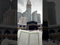 11 يناير 2024 11 يناير 2024