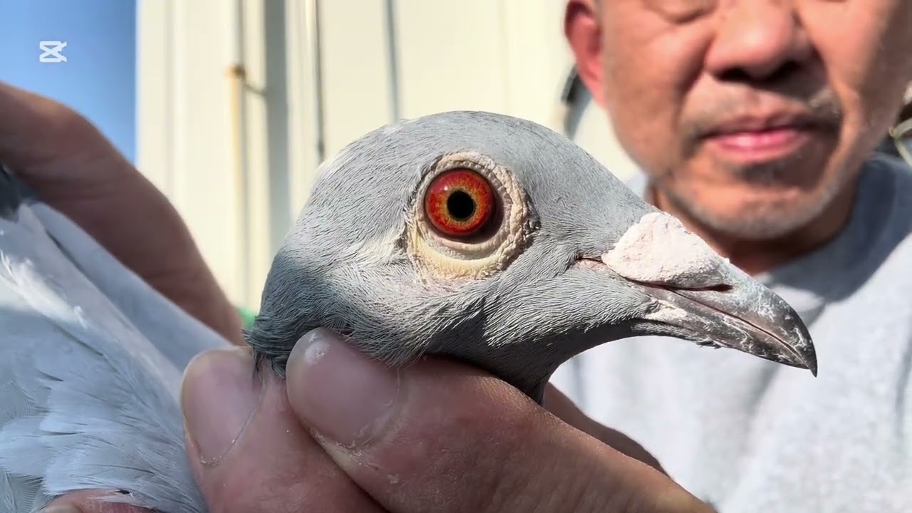 RG400k1番帰還フエルホールト姉妹